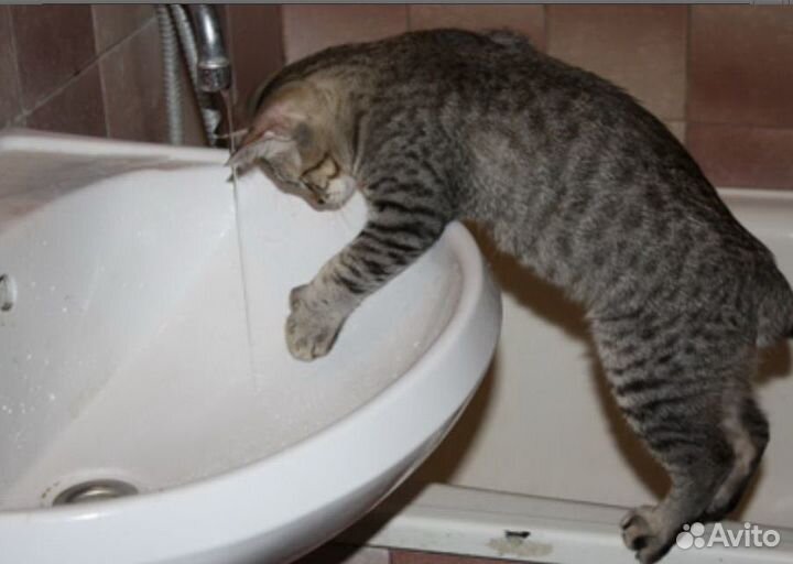 Электрик Мастер на час,приедет сейчас