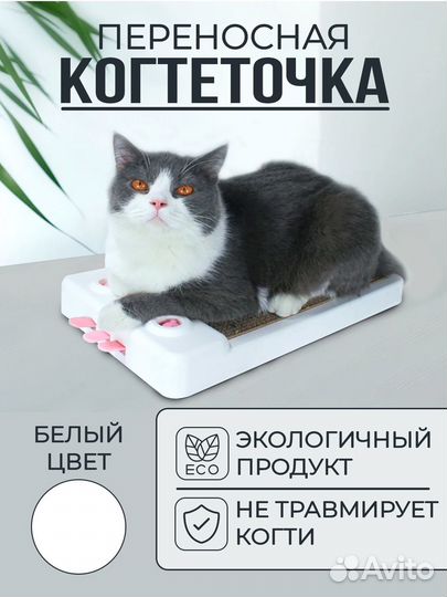 Когтеточка со сменным блоком