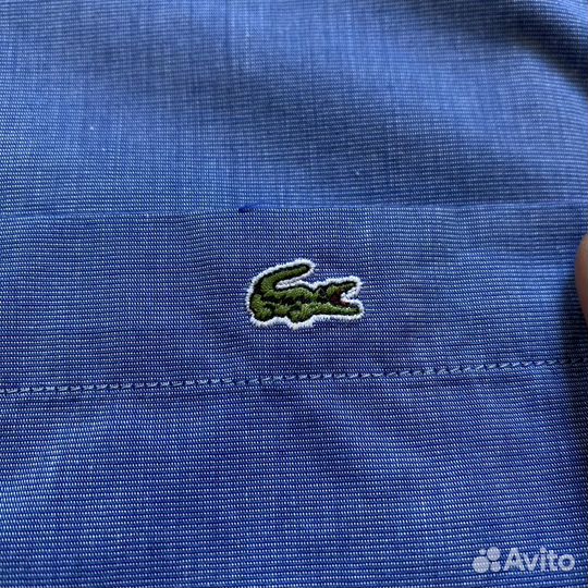 Рубашка Lacoste оригинал