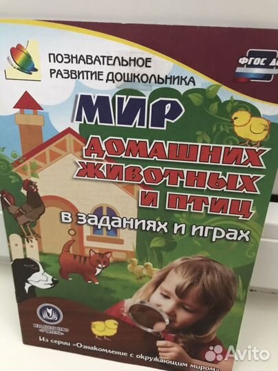 Познавательное развитие ребенка