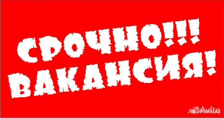 Работник торгового зала/ежедневная оплата/снг