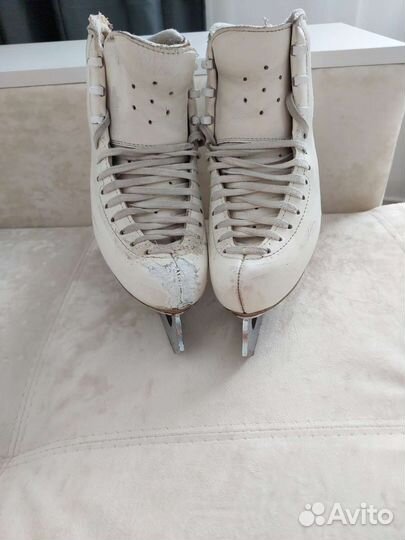 Коньки профессиональные Edea Chorus 230