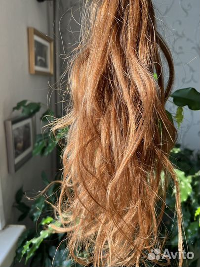 Волосы для наращивания славянка