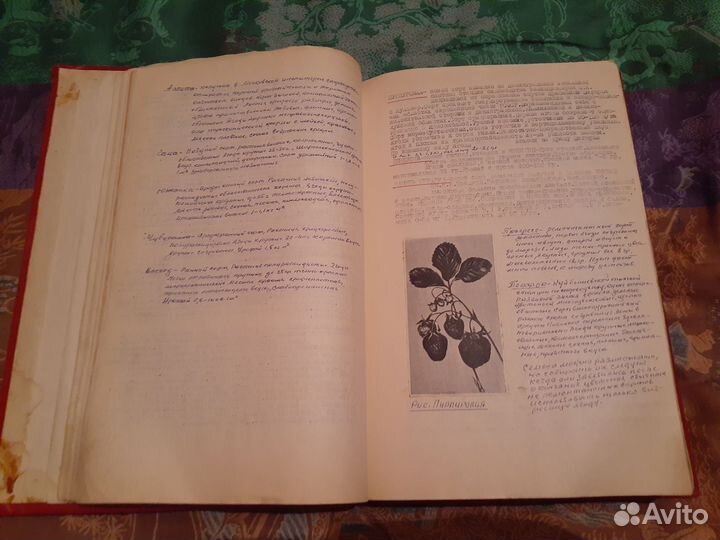 Гроссбух по садоводству