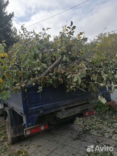 Вывоз мусора газель