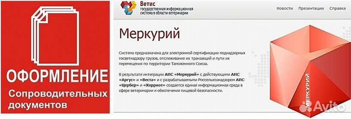 Услуги по оформлению ветеринарных документов