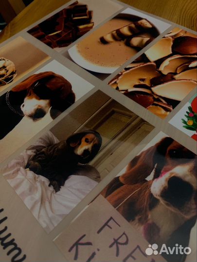 Термотрасфер, наклейки на одежду, печать DTF