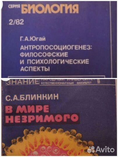 Югай.Антропосоциогенез. Блинкин. В мире незримого