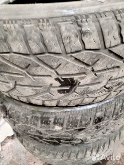 Tigar Winter 215/60 R16