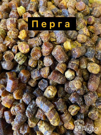 Пыльца пчелиная май 2023 г, перга