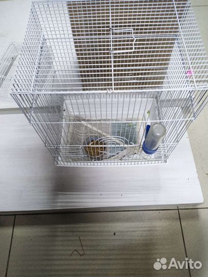 Клетка для грызунов ferplast