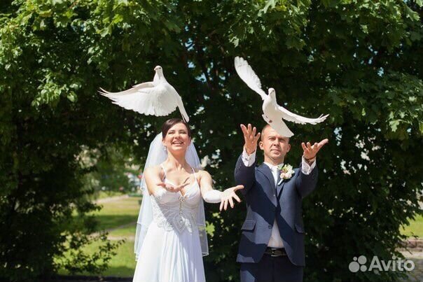 Белые Голуби на свадьбу, венчания, торжества
