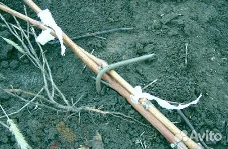 Колья арматурные для сада/огорода