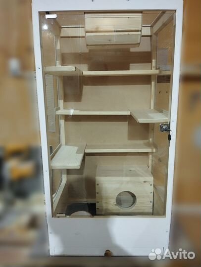 Витрина для шиншилл