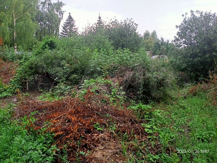 Участок 2,5 сот. (СНТ, ДНП)