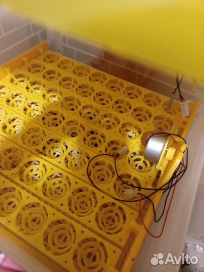 Инкубатор для яиц автоматический