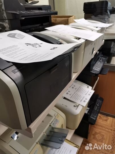 Принтер лазерный HP гарантия