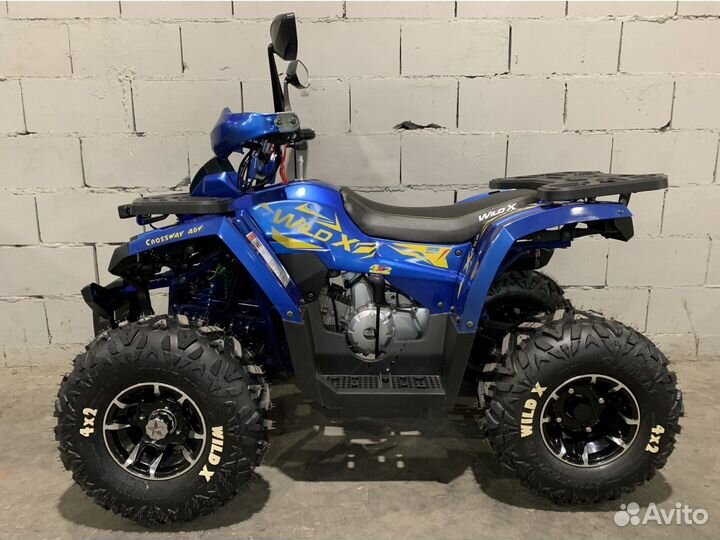 Квадроцикл Motoland wild X PRO