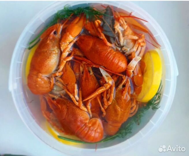 Раки вкусные Алтайские