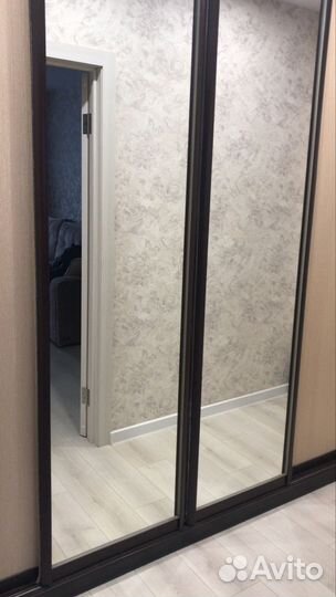 Шкаф купе с зеркалом в прихожую