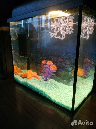 Аквариум