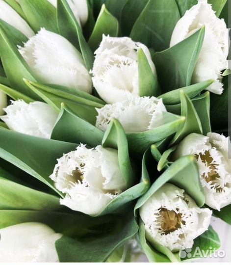 Тюльпаны букет