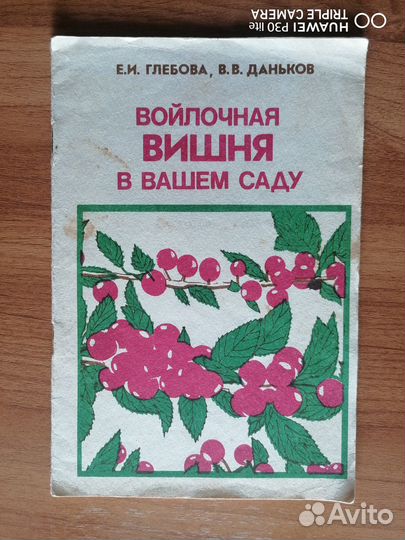 Войлочная вишня в вашем саду. Редкое издание