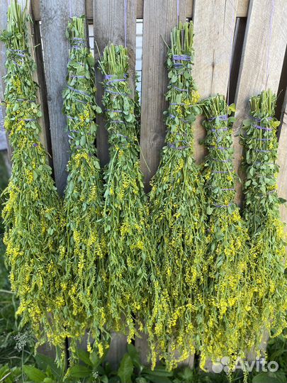 Веники для бани,донник,травы