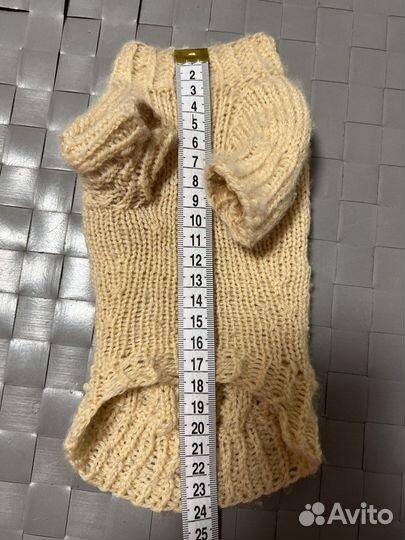 Одежда для котят