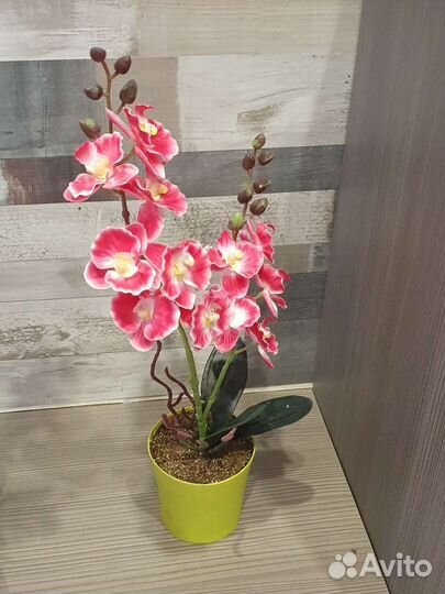 Орхидея фаленопсис, искусственная орхидея, орхидея