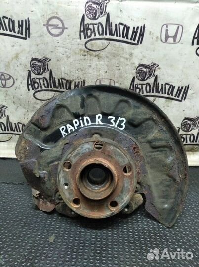 Кулак (цапфа) передний правый Skoda Rapid CFN 2014