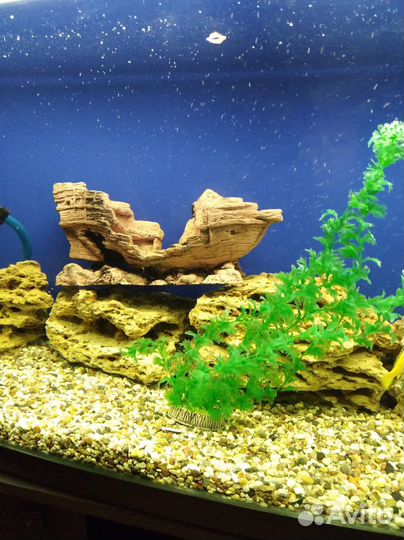 Аквариум jebo 289 литров с тумбой