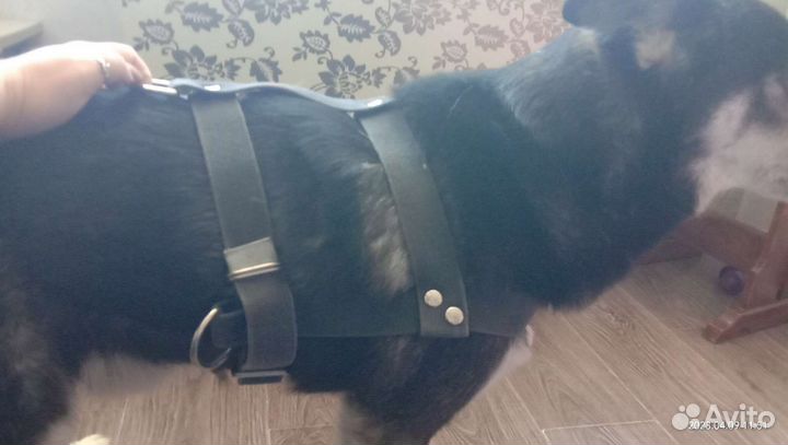 Шлейка для собакиСредних и крупных