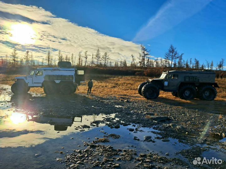 Аренда Услуга Вездеход Хищник Трэкол 2023г