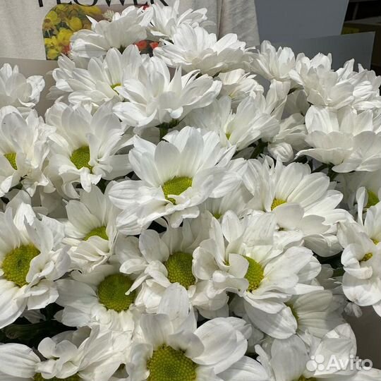 Букет 7 ромашек 