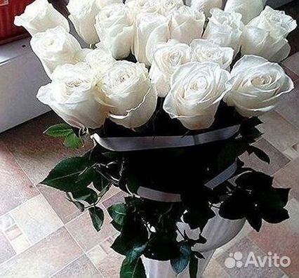 Розы гиганты 140 150 160 170 180 200