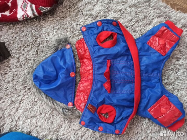 Одежда для маленьких собак