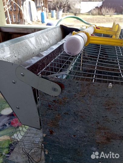 Клетка для перепелов