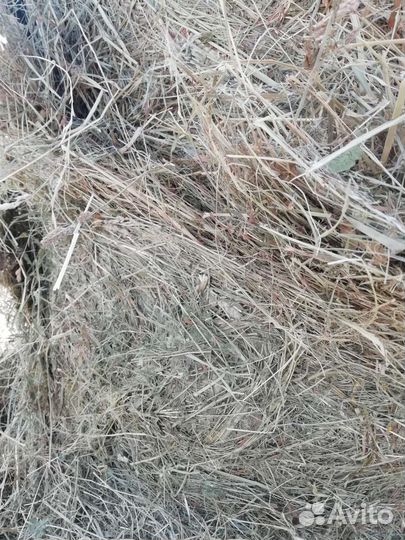 Сено в мешках