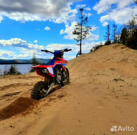 Apollo RXF freeride 150 19/16