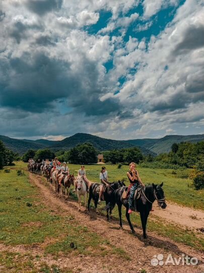 Предложение услуг