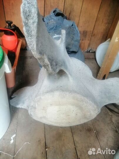 Позвоночная кость