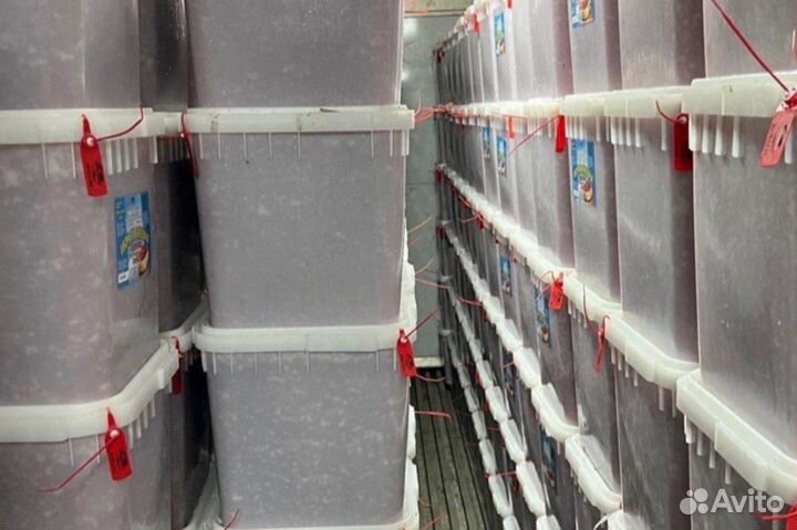 Икра красная улова 2023 на складе в Москве оптом