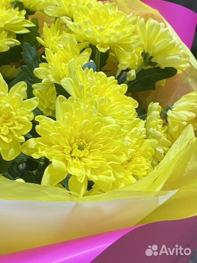 Хризантема букет большой