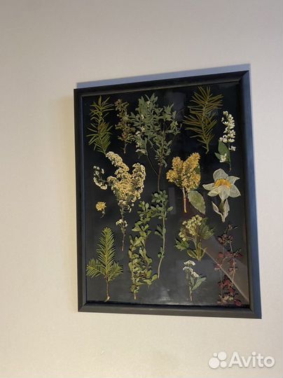 Панно из сухоцветов