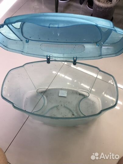 Контейнер для улиток рыбок палочников