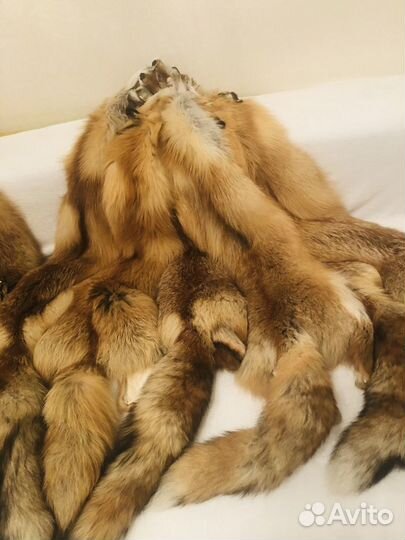 Шкуры лисы