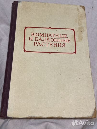 Комнатные и балконные растения 1955