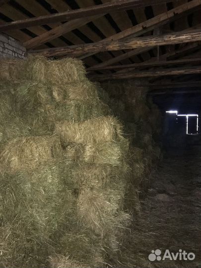 Продается сено