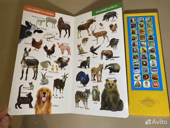 Музыкальная книжка-игрушка 300 голосов и звуков